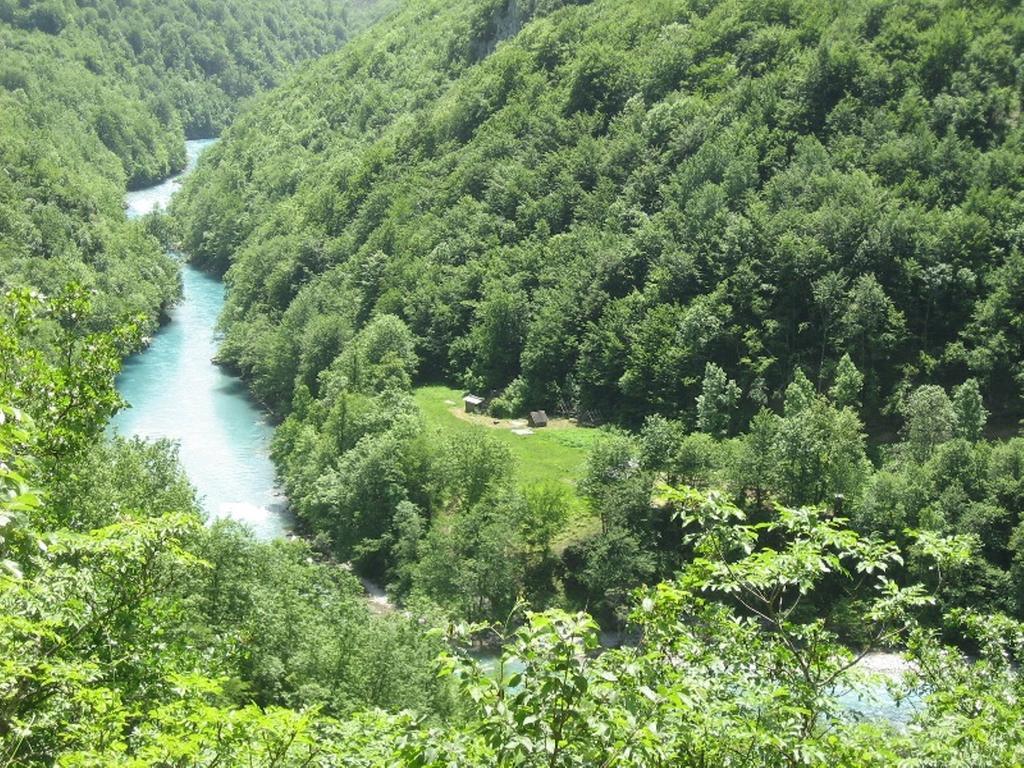Tara Bridge Castle Hotel Zabljak  Bilik gambar