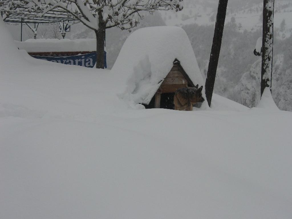 Tara Bridge Castle Hotel Zabljak  Luaran gambar